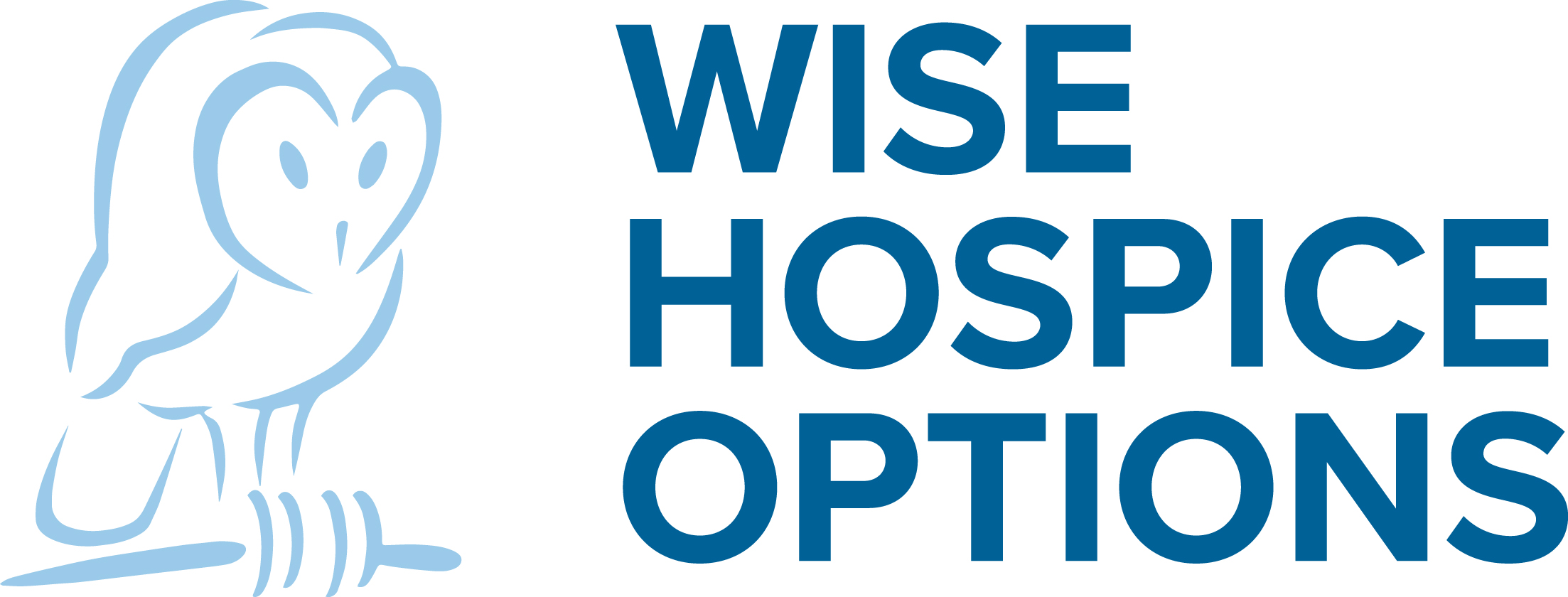 Logo for Wise Hospice Options with a light-blue outlined owl to the left and bold blue text on the right.